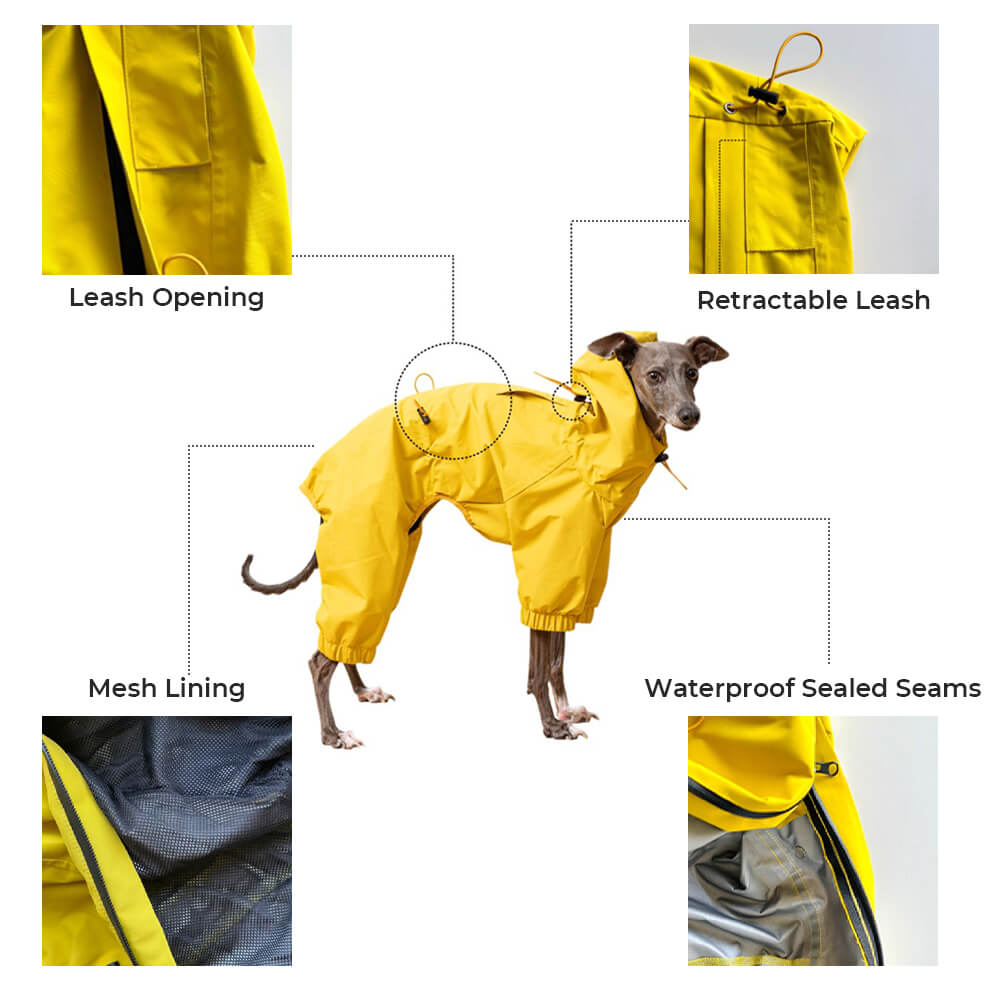 Veste de pluie légère imperméable pour chien avec capuche