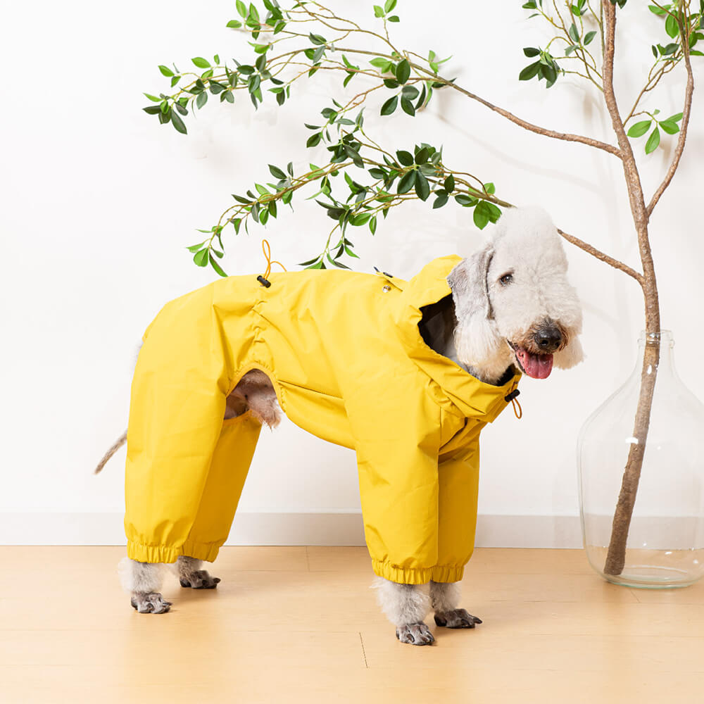 Veste de pluie légère imperméable pour chien avec capuche