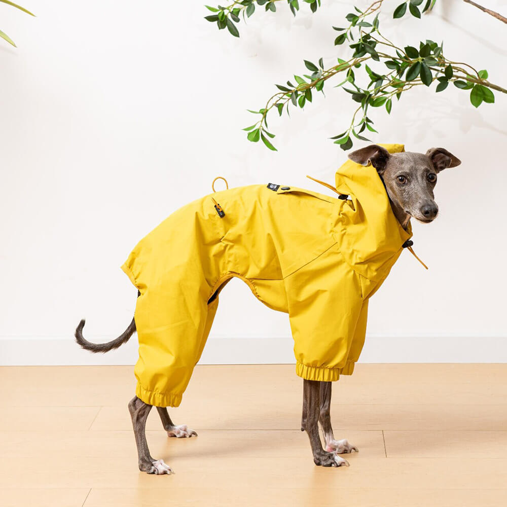 Veste de pluie légère imperméable pour chien avec capuche