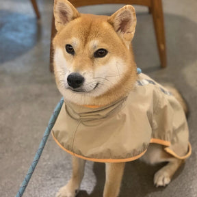 Manteau de pluie léger imperméable pour chien avec capuche et bande réfléchissante