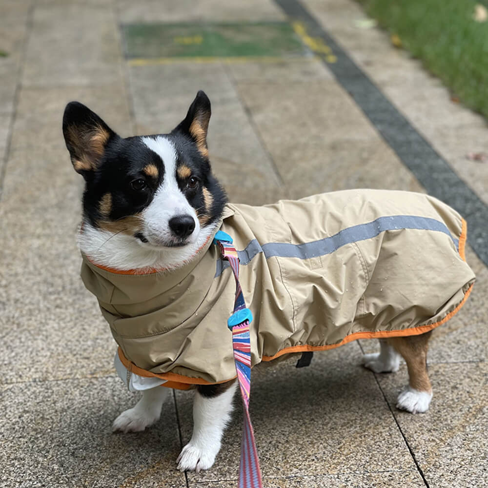 Manteau de pluie léger imperméable pour chien avec capuche et bande réfléchissante