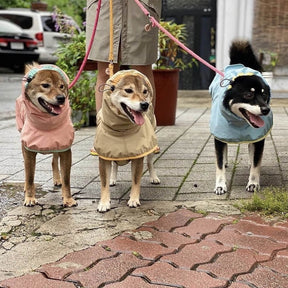 Manteau de pluie léger imperméable pour chien avec capuche et bande réfléchissante