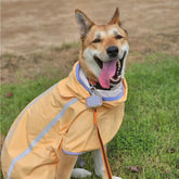 Manteau de pluie léger imperméable pour chien avec capuche et bande réfléchissante