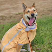 Manteau de pluie léger imperméable pour chien avec capuche et bande réfléchissante