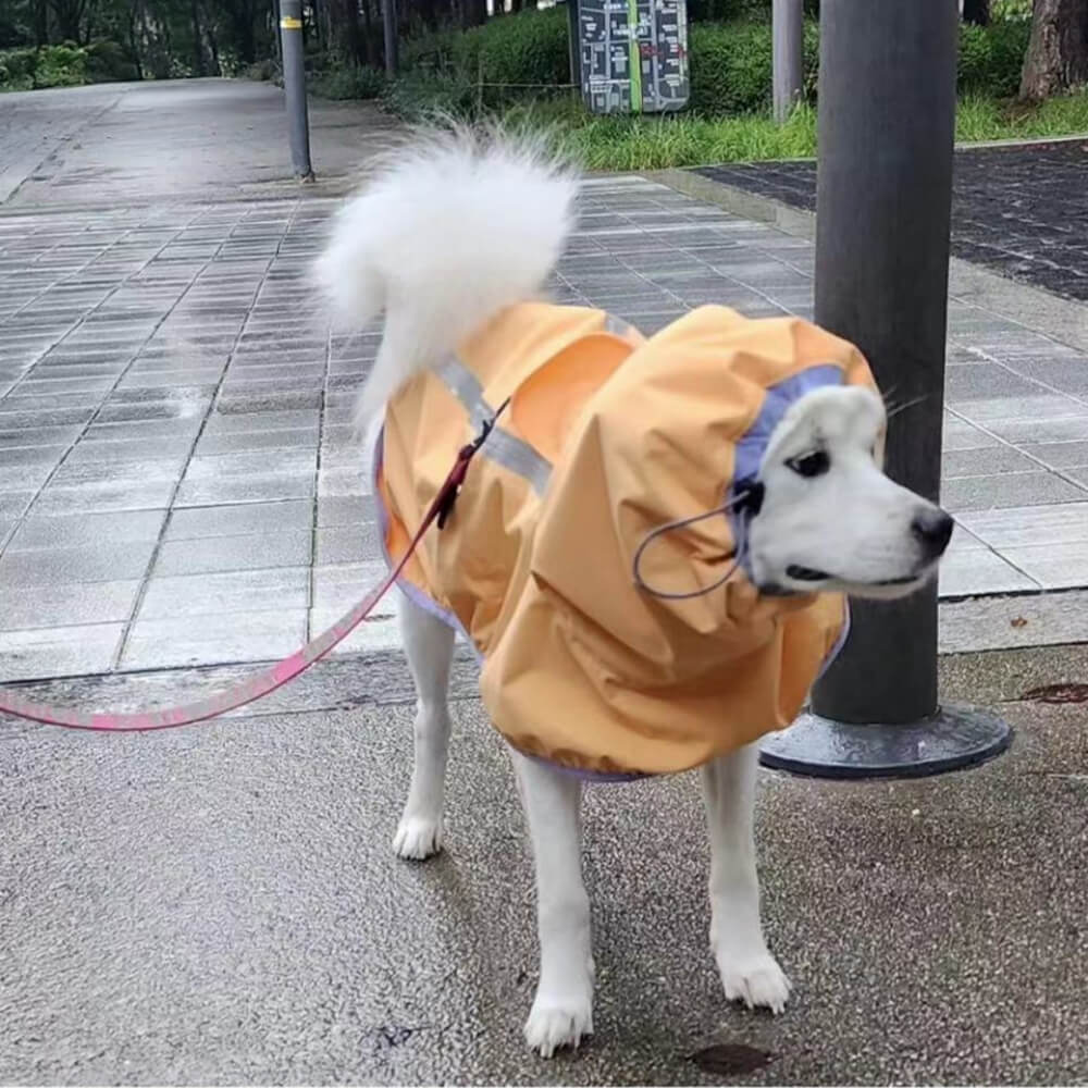 Manteau de pluie léger imperméable pour chien avec capuche et bande réfléchissante