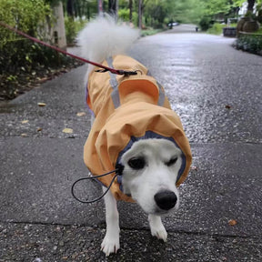 Manteau de pluie léger imperméable pour chien avec capuche et bande réfléchissante