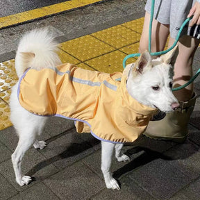 Manteau de pluie léger imperméable pour chien avec capuche et bande réfléchissante