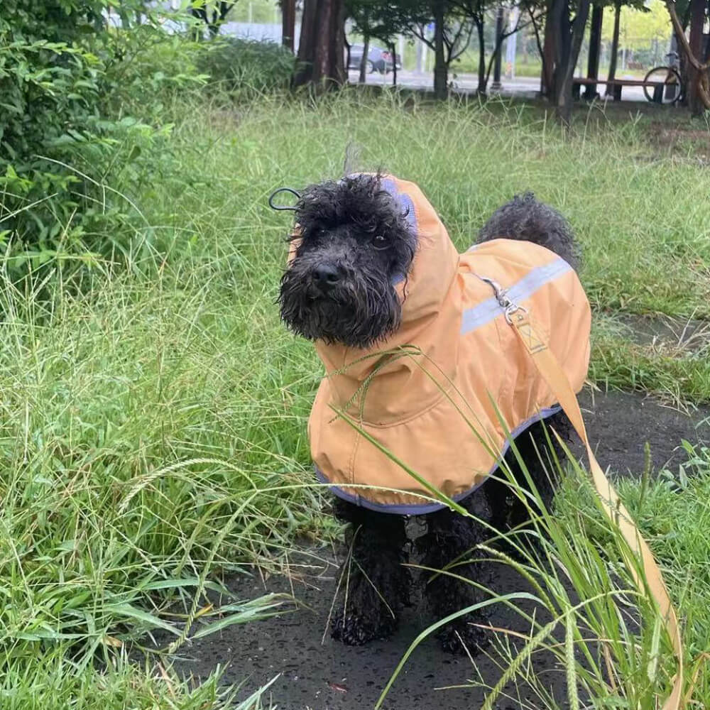 Manteau de pluie léger imperméable pour chien avec capuche et bande réfléchissante