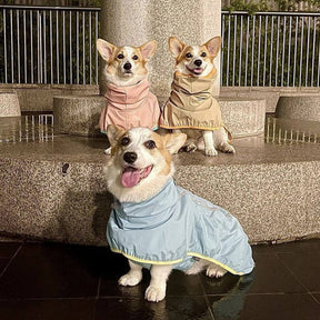 Manteau de pluie léger imperméable pour chien avec capuche et bande réfléchissante