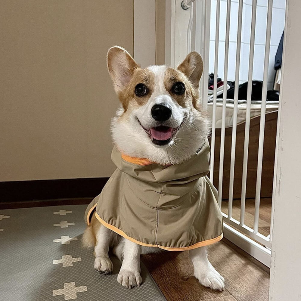 Manteau de pluie léger imperméable pour chien avec capuche et bande réfléchissante