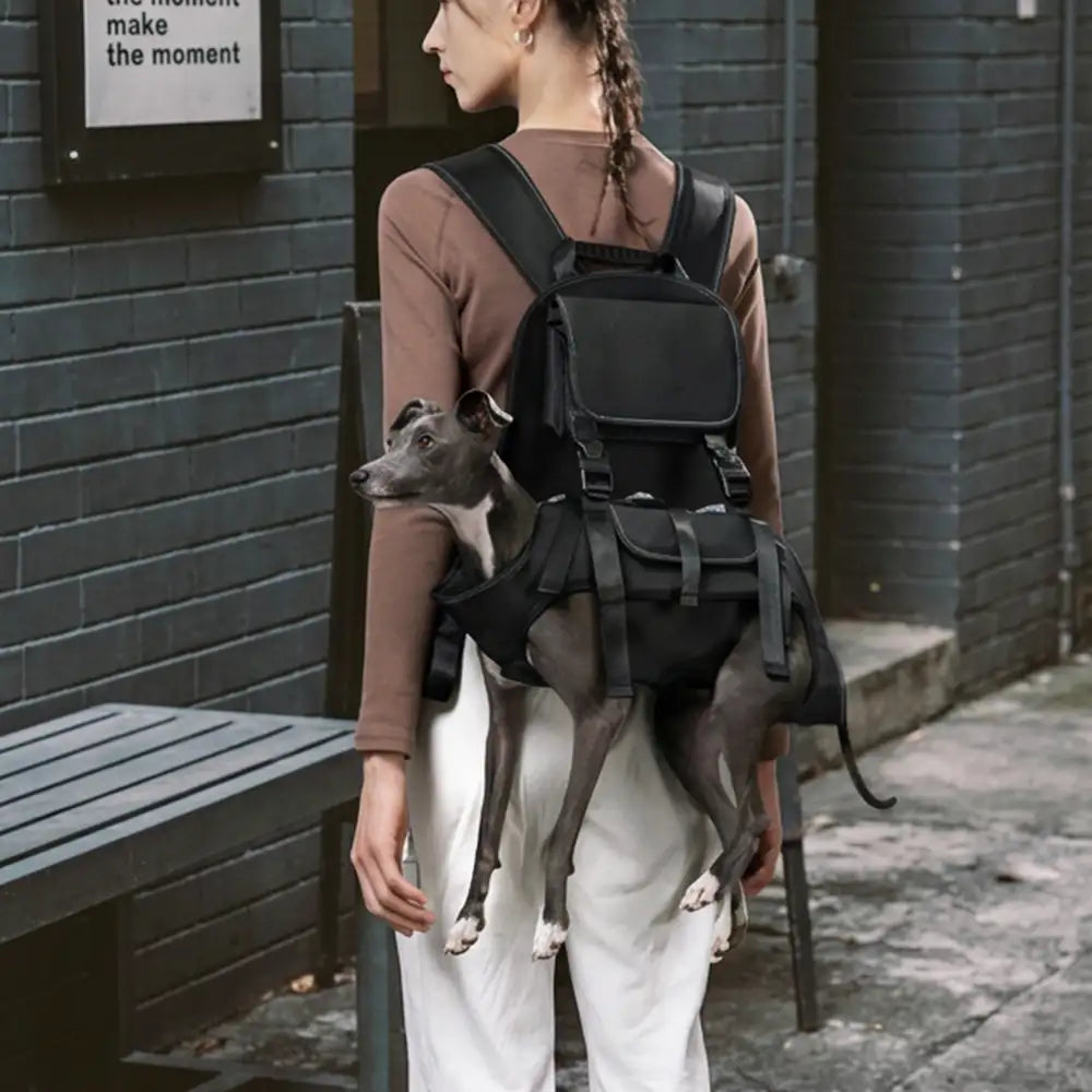 Harnais de transport pour chien portable ergonomique et confortable pour les sports de plein air