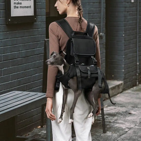 Harnais de transport pour chien portable ergonomique et confortable pour les sports de plein air