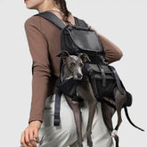 Harnais de transport pour chien portable ergonomique et confortable pour les sports de plein air