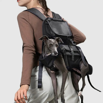 Harnais de transport pour chien portable ergonomique et confortable pour les sports de plein air