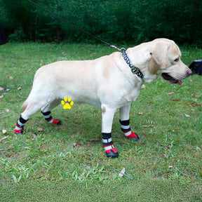 Bottes réfléchissantes imperméables chaudes et durables pour chien