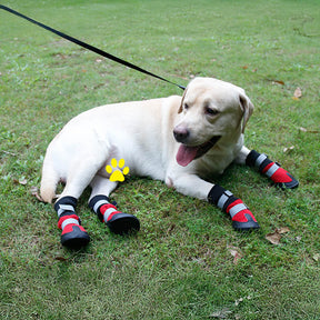 Bottes réfléchissantes imperméables chaudes et durables pour chien