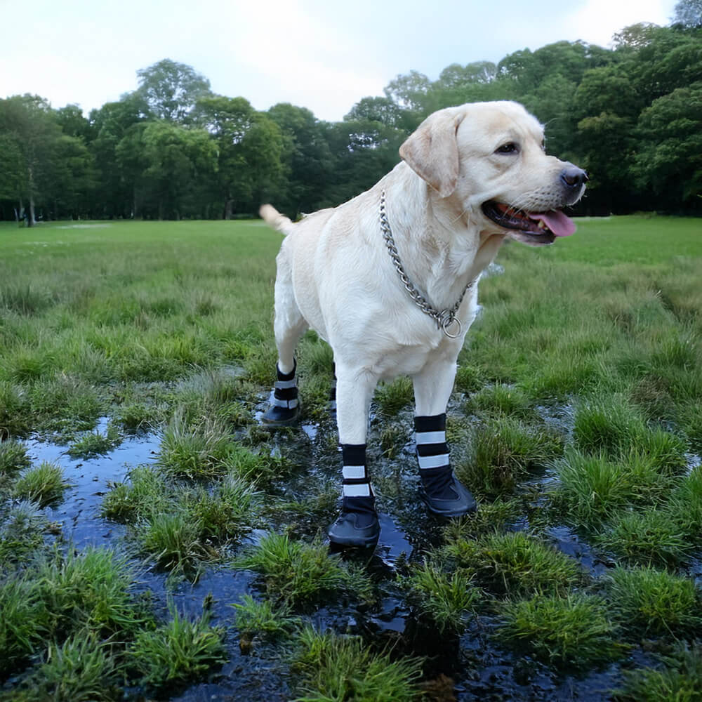 Bottes réfléchissantes imperméables chaudes et durables pour chien