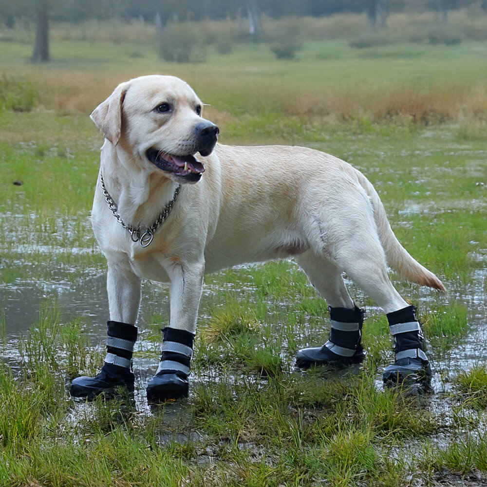 Bottes réfléchissantes imperméables chaudes et durables pour chien