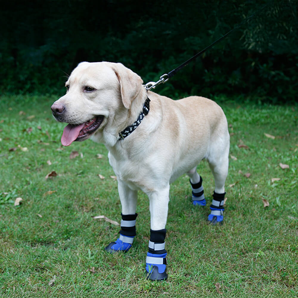 Bottes réfléchissantes imperméables chaudes et durables pour chien