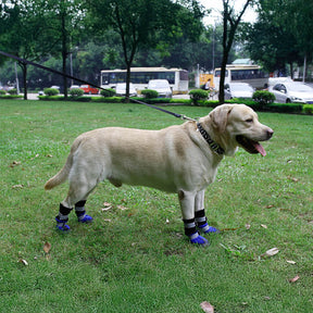 Bottes réfléchissantes imperméables chaudes et durables pour chien