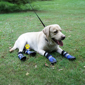 Bottes réfléchissantes imperméables chaudes et durables pour chien