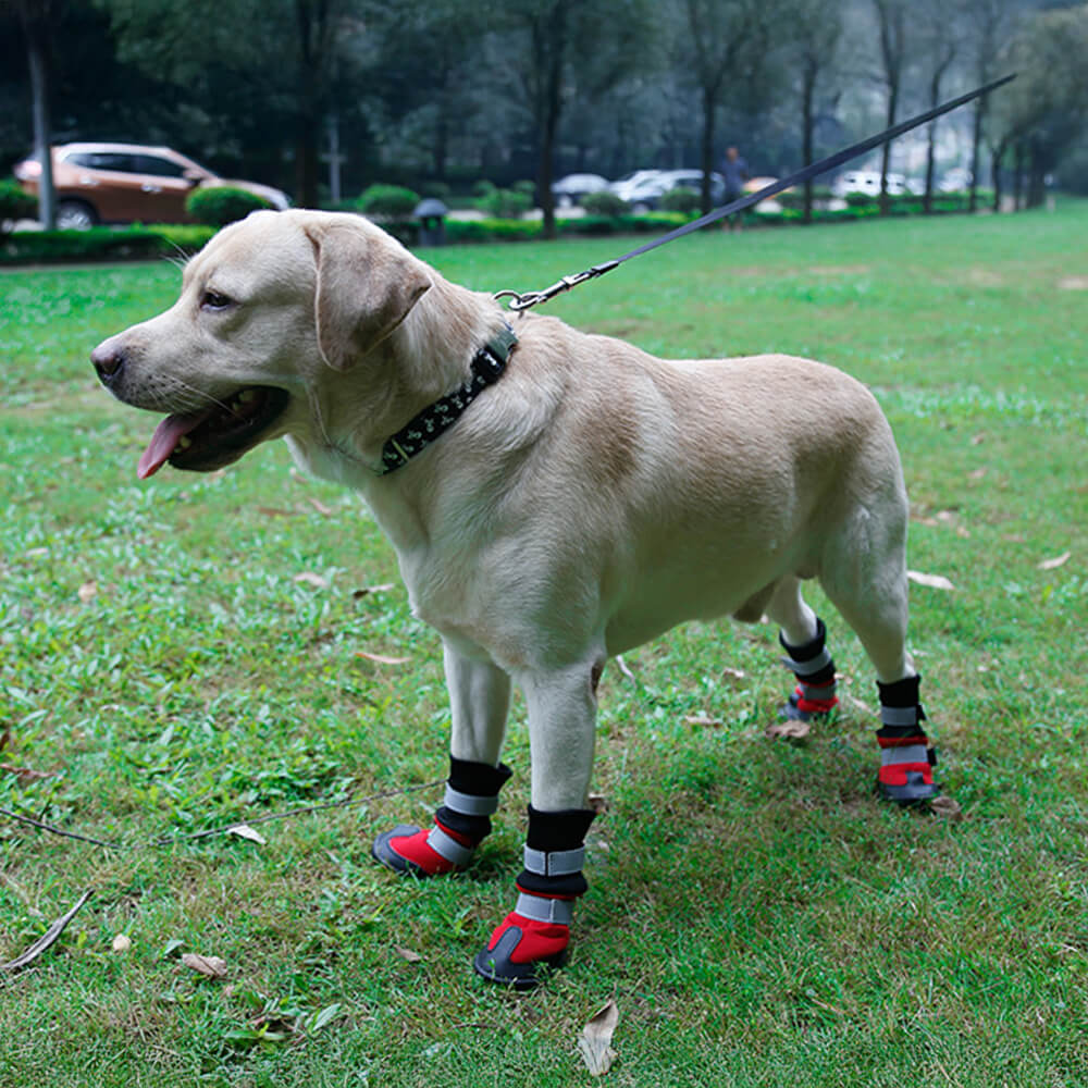 Bottes réfléchissantes imperméables chaudes et durables pour chien