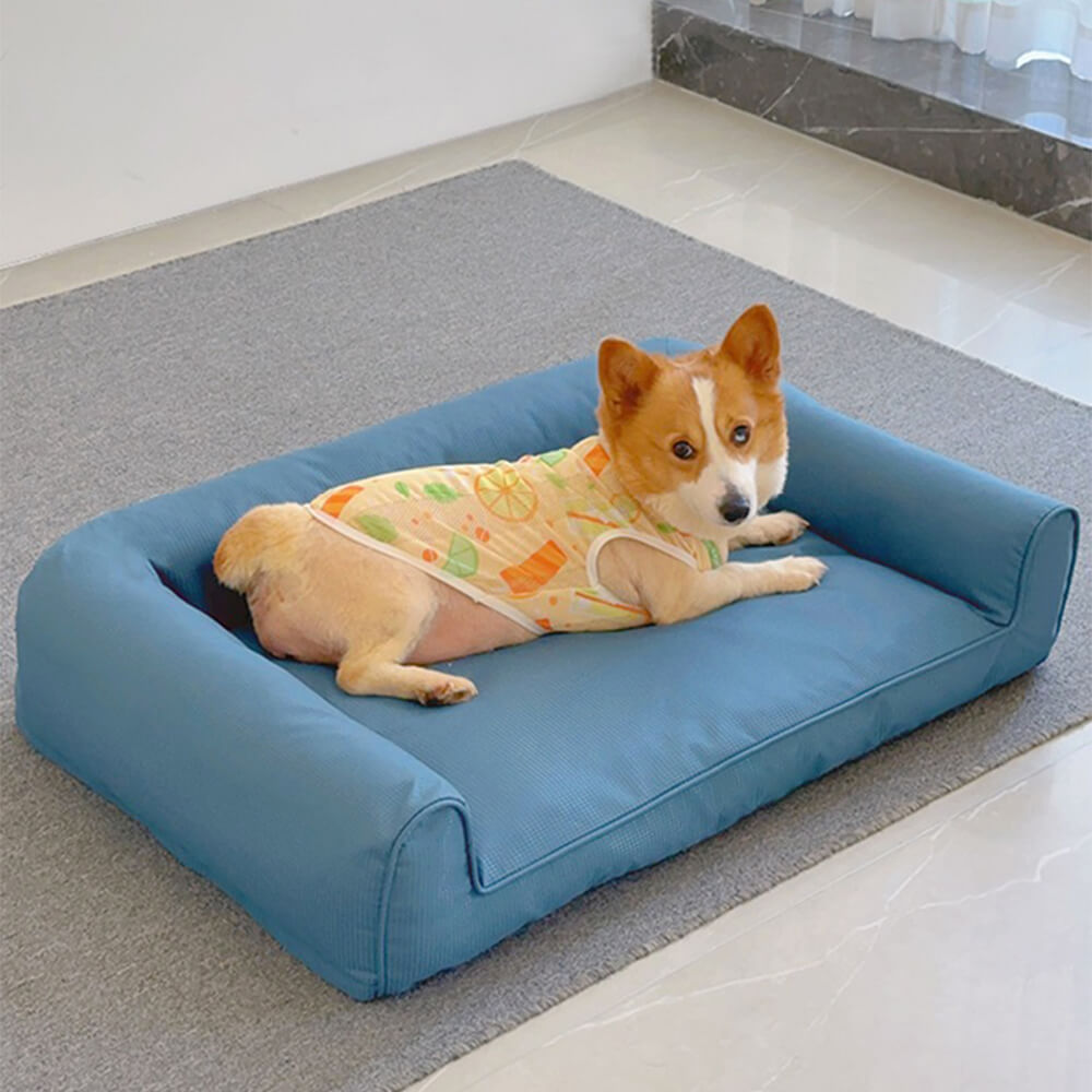 Canapé pour chien avec coussin amovible et lavable en Oxford imperméable