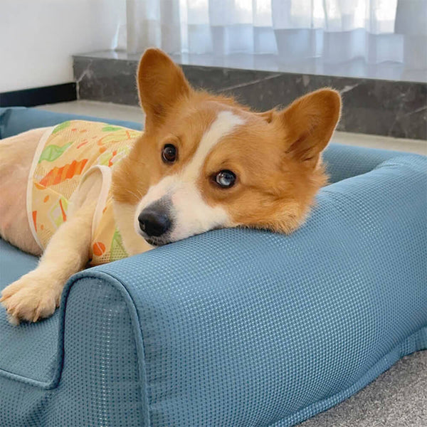 Canapé pour chien avec coussin amovible et lavable en Oxford imperméable