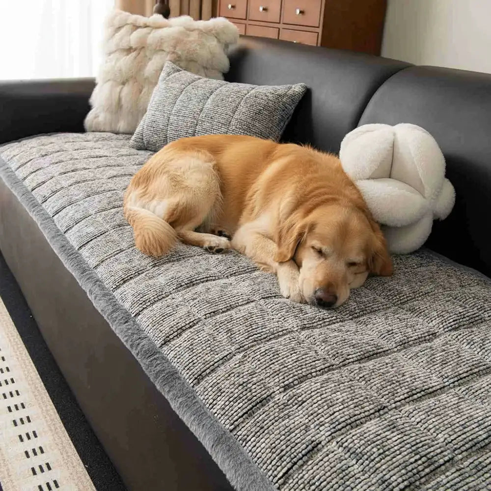 Housse de canapé antidérapante en chenille texturée, amicale pour les animaux de compagnie, avec bords effilochés