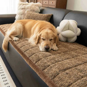 Housse de canapé antidérapante en chenille texturée, amicale pour les animaux de compagnie, avec bords effilochés