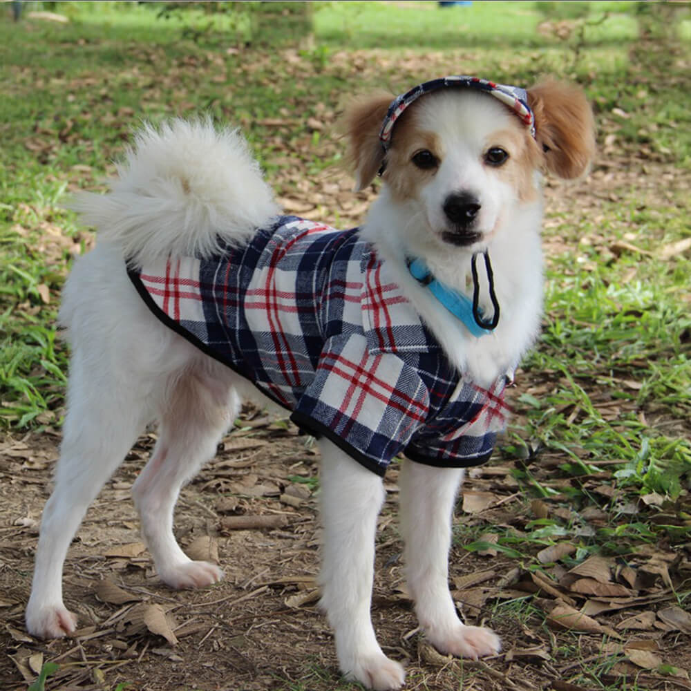 Casque et manteau ajustables pour chien en Oxford à carreaux avec protection solaire