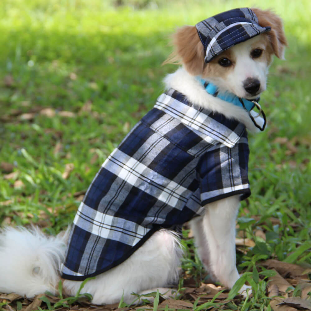 Casque et manteau ajustables pour chien en Oxford à carreaux avec protection solaire