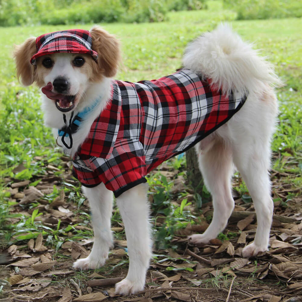 Casque et manteau ajustables pour chien en Oxford à carreaux avec protection solaire