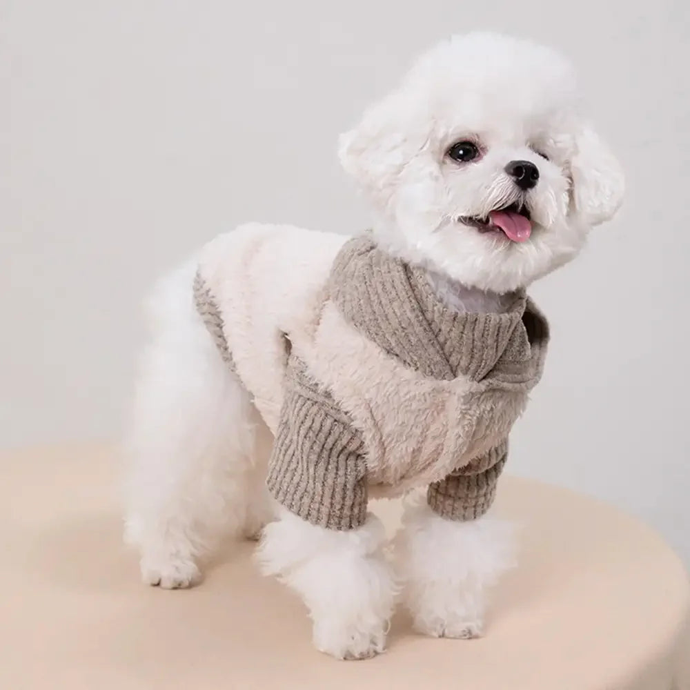 Ensemble pour chien en deux pièces : manteau en peluche et pull à col roulé assorti.