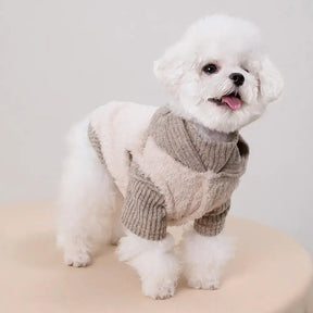 Ensemble pour chien en deux pièces : manteau en peluche et pull à col roulé assorti.