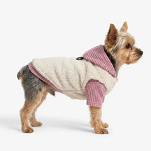 Ensemble pour chien en deux pièces : manteau en peluche et pull à col roulé assorti.