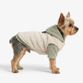 Ensemble pour chien en deux pièces : manteau en peluche et pull à col roulé assorti.