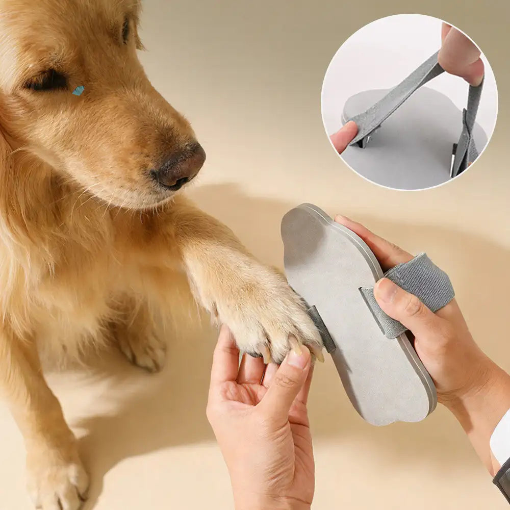 Planche à griffer pour chiens portable