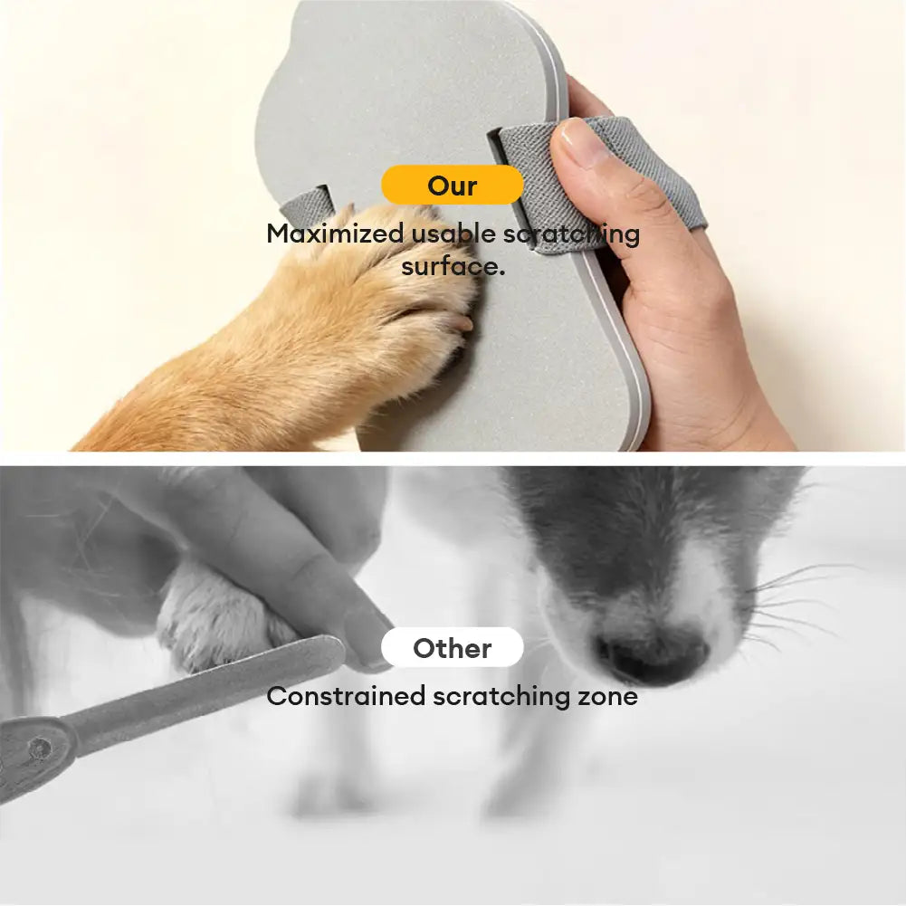 Planche à griffer pour chiens portable