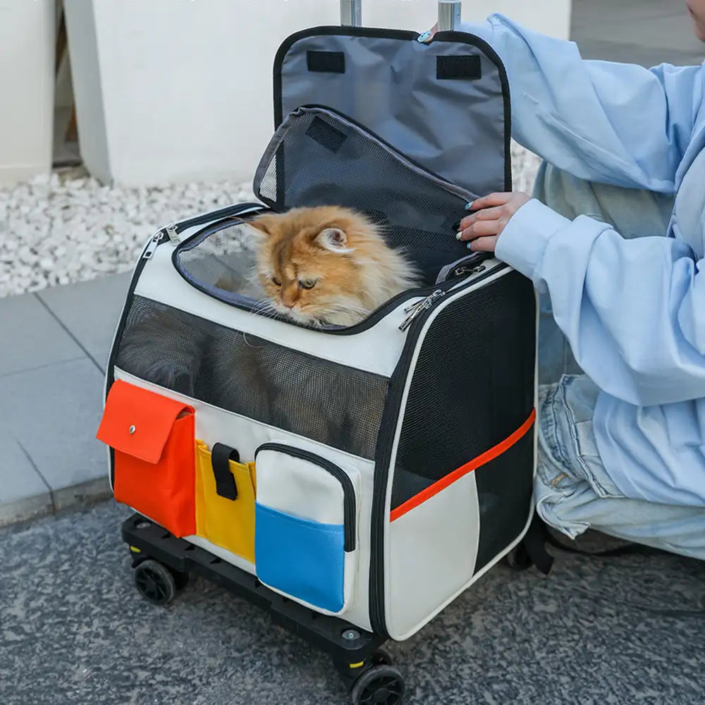 Sac à dos de transport portable à roulettes pour animaux de compagnie avec chariot détachable