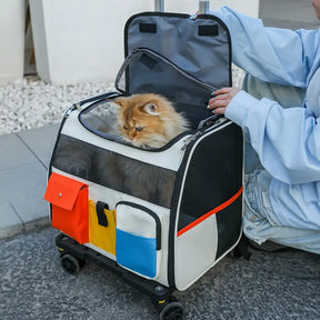 Sac à dos de transport portable à roulettes pour animaux de compagnie avec chariot détachable