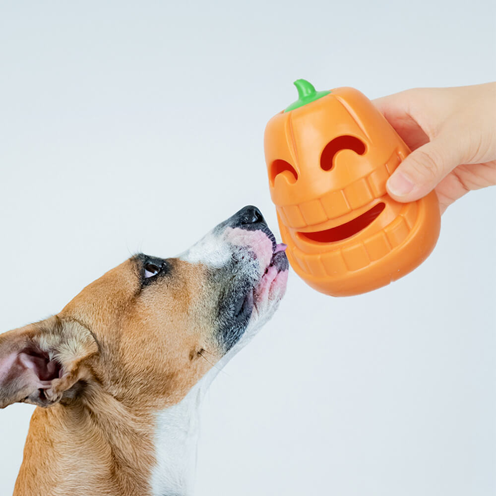 Jouet Interactif pour Chien Distribueur de Friandises en Forme de Citrouille