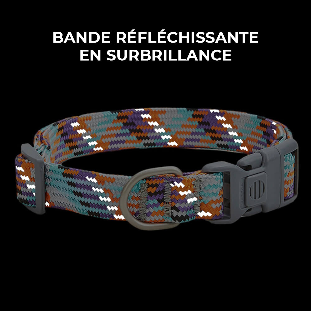 Collier et laisse pour chien anti-traction réglables à tissage réfléchissant