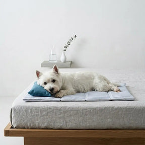 Tapis pour chien rafraîchissant en soie de glace rayée, antidérapant, avec coussin.