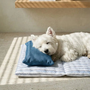 Tapis pour chien rafraîchissant en soie de glace rayée, antidérapant, avec coussin.