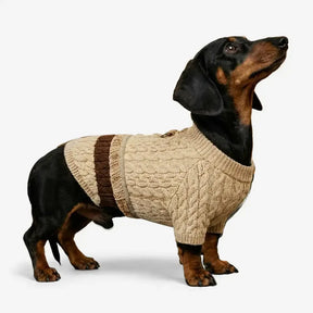 Pull pour dachshund et petits à moyens chiens en tricot rétro.