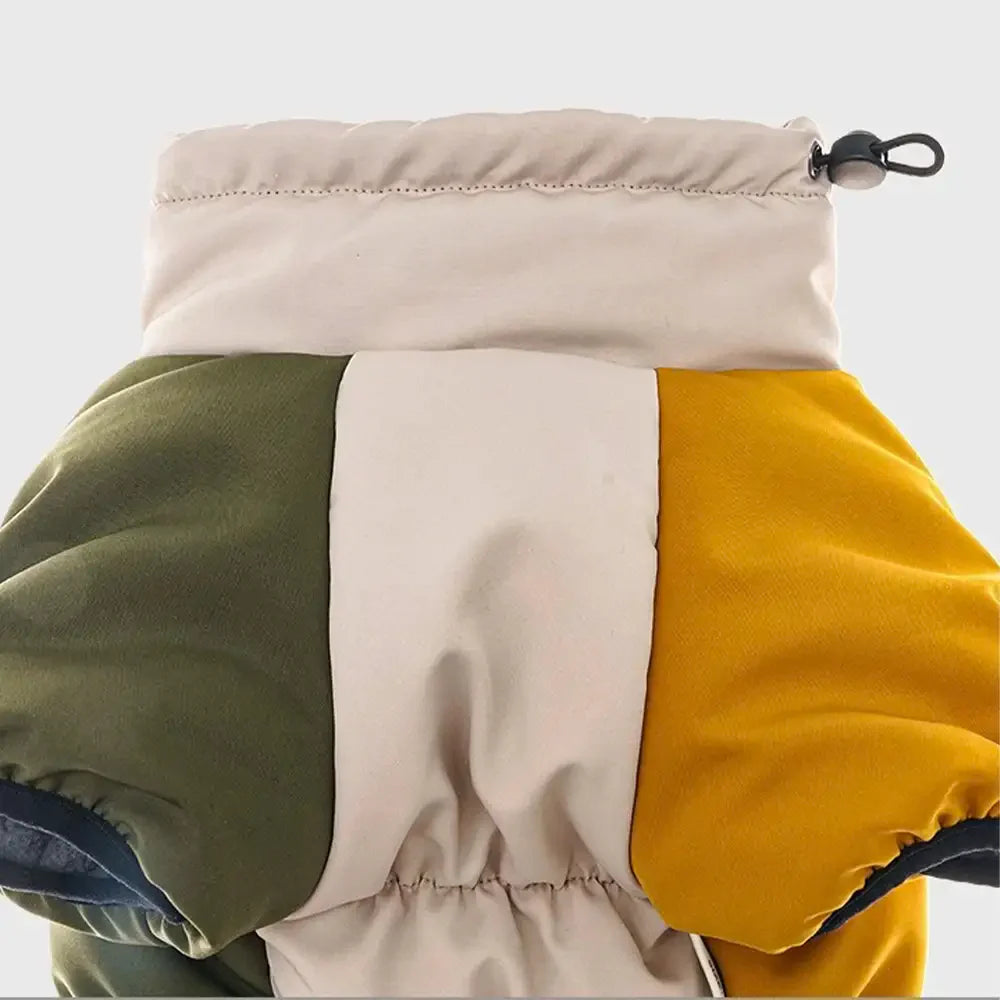 Manteau pour chien chaud en polaire à blocs de couleurs rétro avec boucle pour laisse.