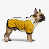 Manteau pour chien chaud en polaire à blocs de couleurs rétro avec boucle pour laisse.