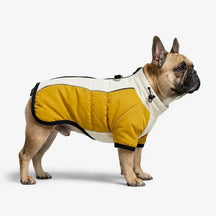 Manteau pour chien chaud en polaire à blocs de couleurs rétro avec boucle pour laisse.