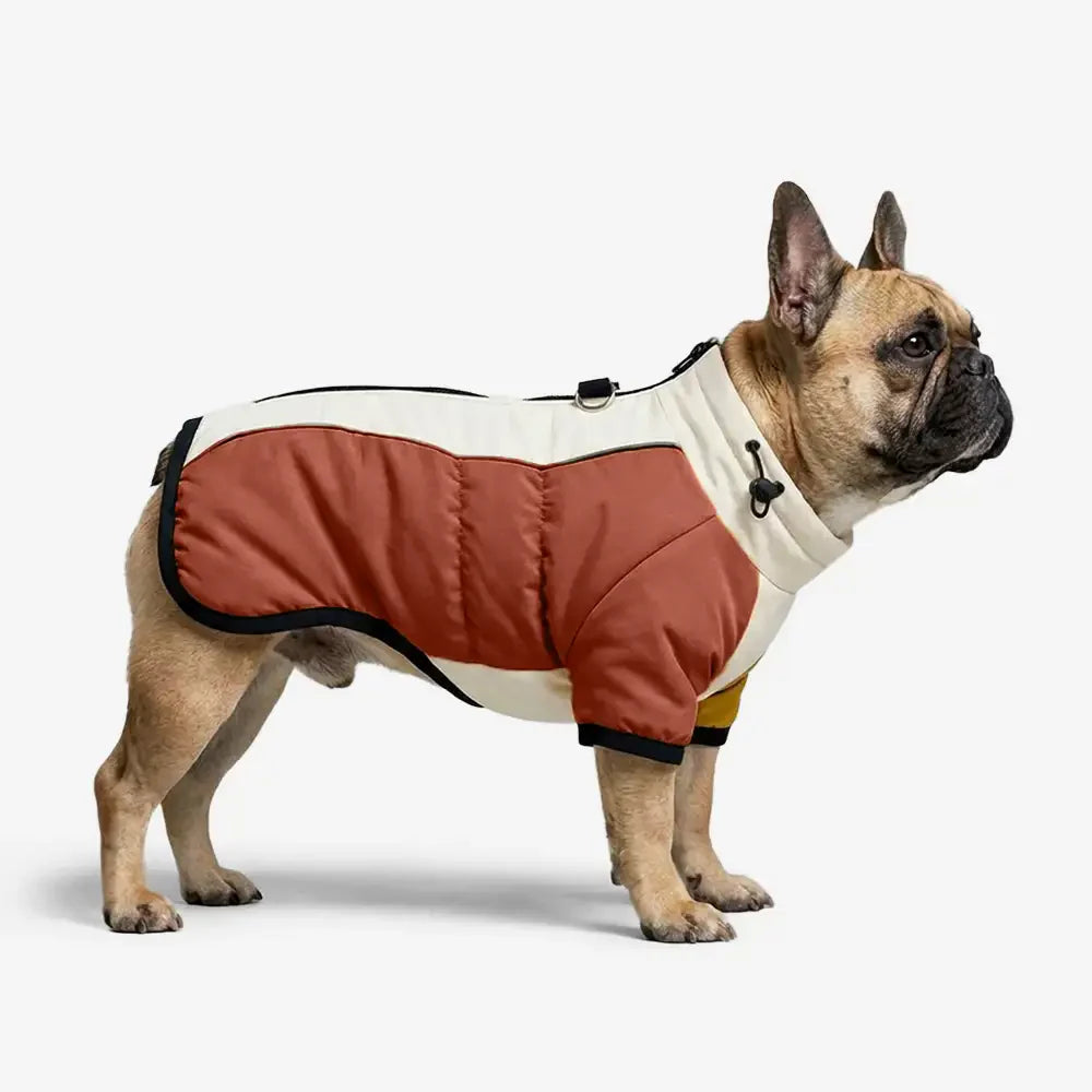 Manteau pour chien chaud en polaire à blocs de couleurs rétro avec boucle pour laisse.